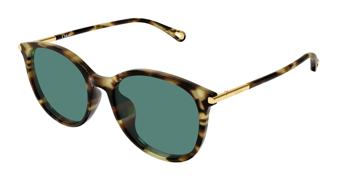 Óculos de sol chloé ch0397sk 002 havana round/oval/panthos femenino tamanho 56mm - Vista principal