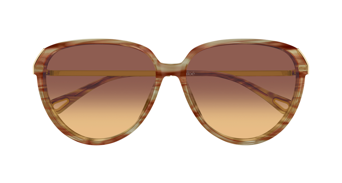 Solbriller chloé ch0406s 004 havana round/oval/panthos femenino størrelse 59mm - Detaljeret visning