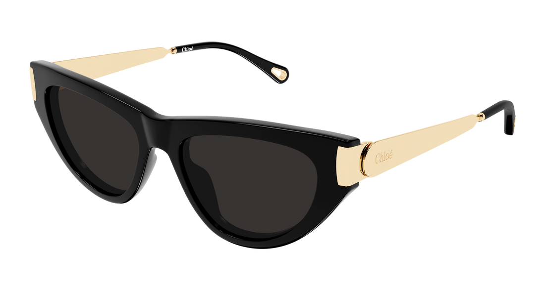 Sunčane naočale chloé ch0350s 001 negro cat eye femenino veličina 54mm - Glavni prikaz