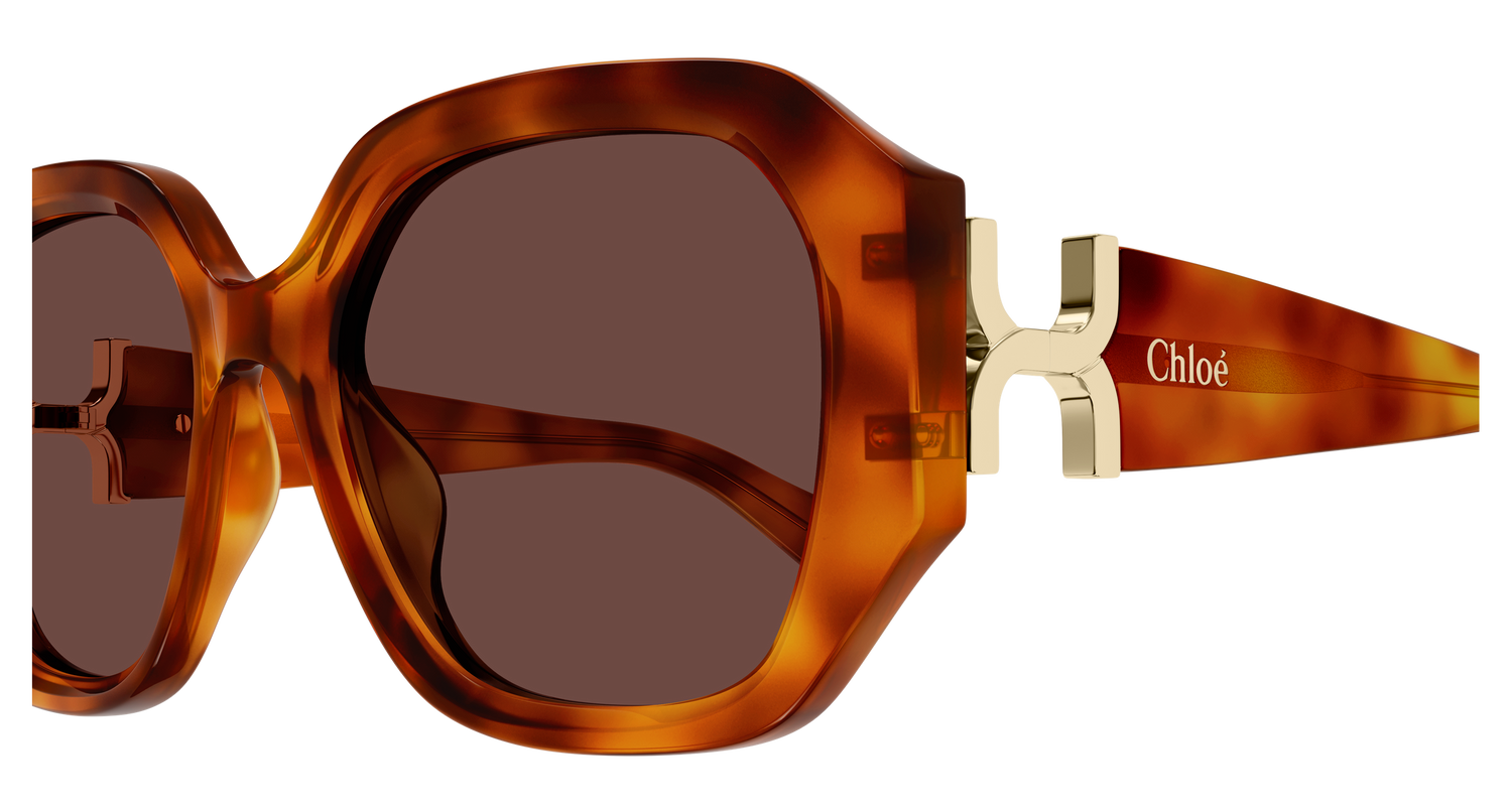 CHLOÉ CH0236S 006 56