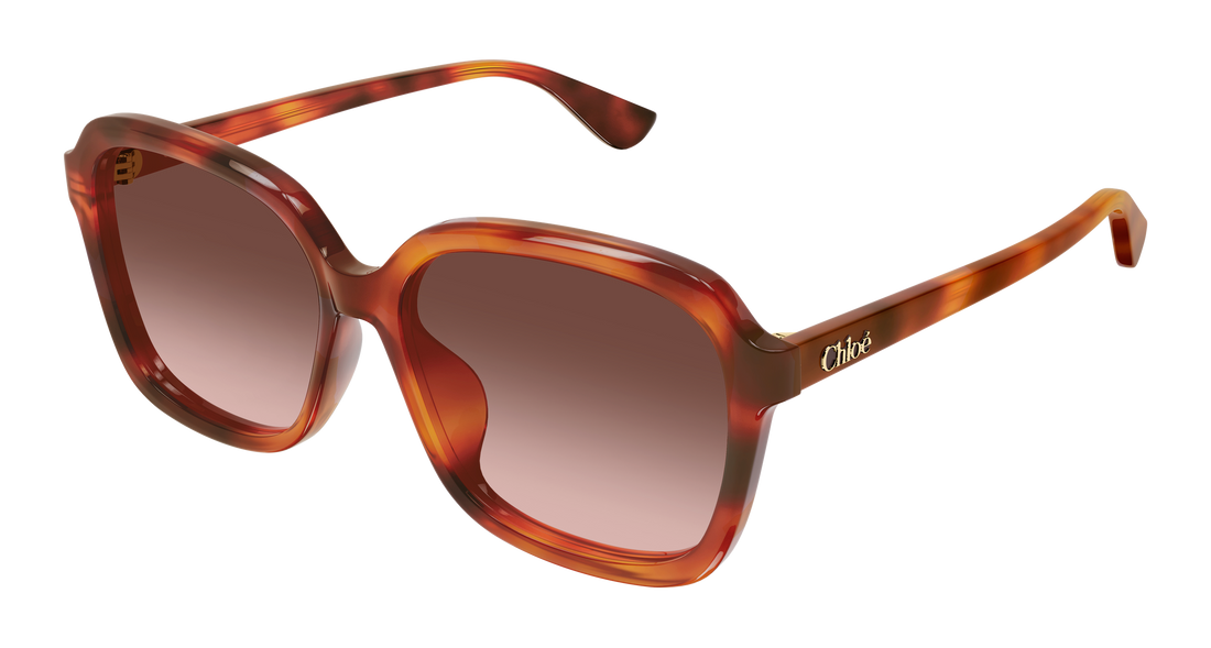 Solglasögon chloé ch0390sk 002 havana rectangular / squared femenino storlek 59mm - Huvudvy