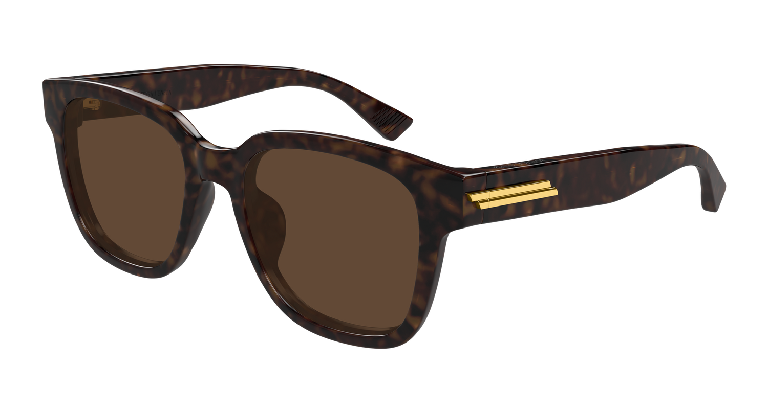 Bottega Veneta BV1461SK 002 54