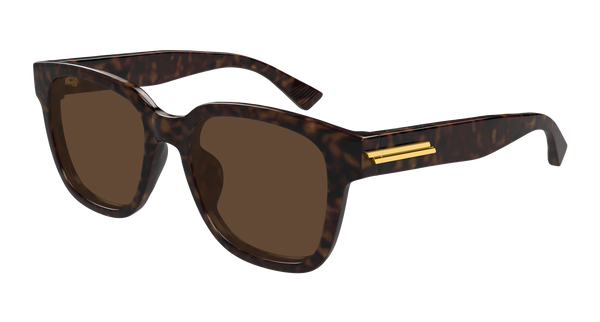 Bottega Veneta BV1461SK 002 54