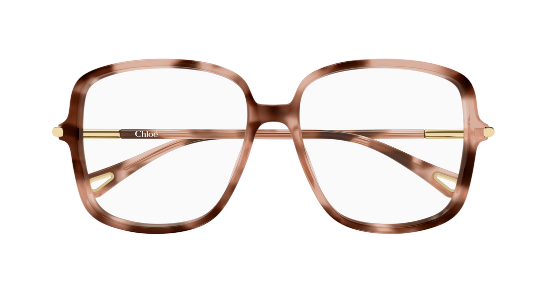 Óculos graduados chloé ch0399o 003 havana rectangular / squared femenino tamanho 56mm - Vista de detalhe