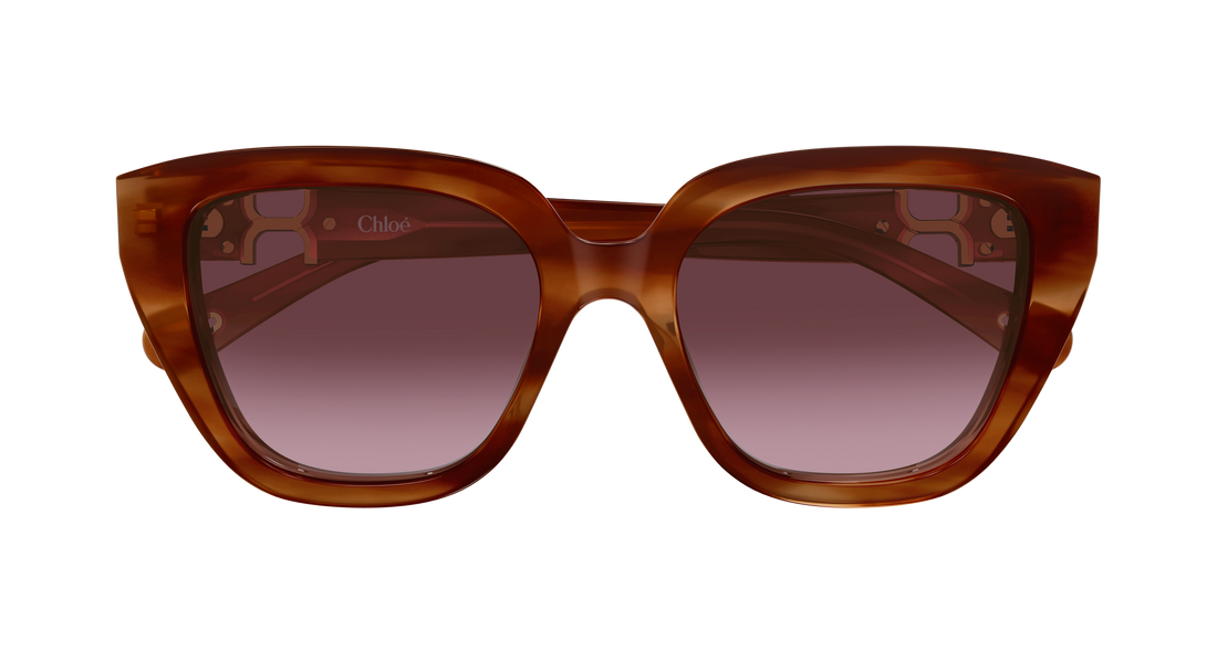 Óculos de sol chloé ch0410s 003 havana cat eye femenino tamanho 53mm - Vista de detalhe