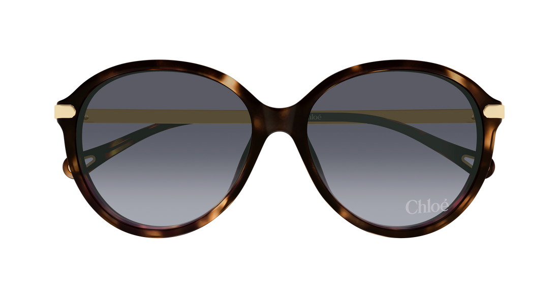 Óculos de sol chloé ch0358sk 002 havana round/oval/panthos femenino tamanho 59mm - Vista de detalhe