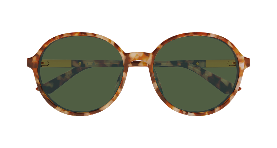 Óculos de sol chloé ch0365sk 004 havana round/oval/panthos femenino tamanho 57mm - Vista de detalhe