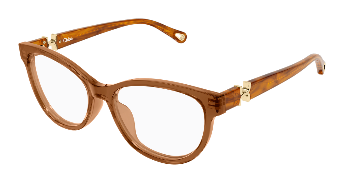Briller chloé ch0411ol 004 marron cat eye femenino størrelse 51mm - Hovedvisning