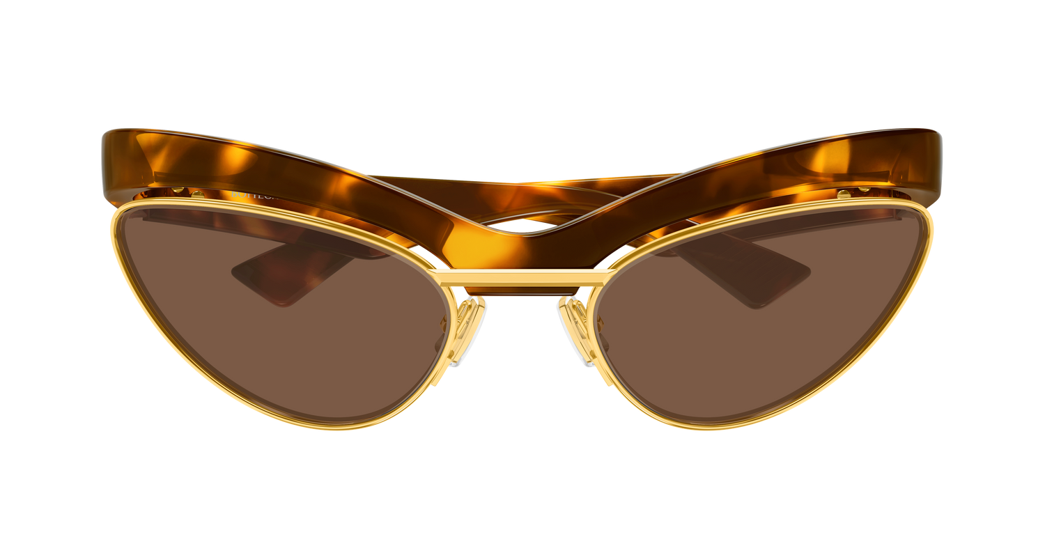 Bottega Veneta BV1480S 004 59