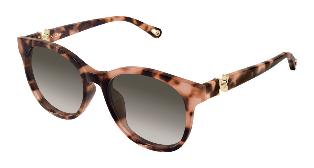 Zonnebrillen chloé ch0375sk 002 havana round/oval/panthos femenino maat 56mm - Hoofdaanzicht