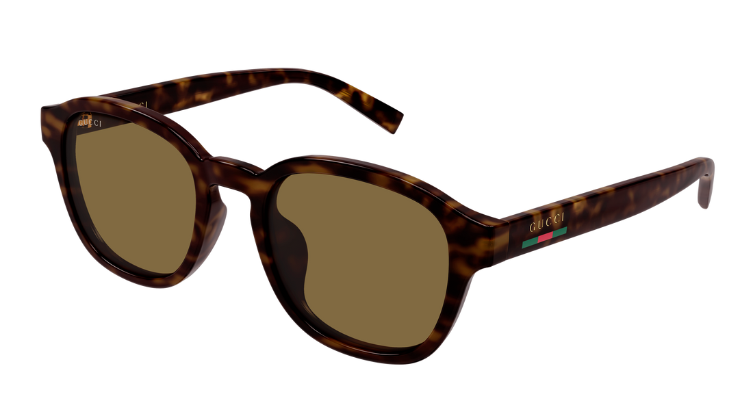 Óculos de sol gucci gg2109sk 002 havana round/oval/panthos masculino tamanho 53mm - Vista principal