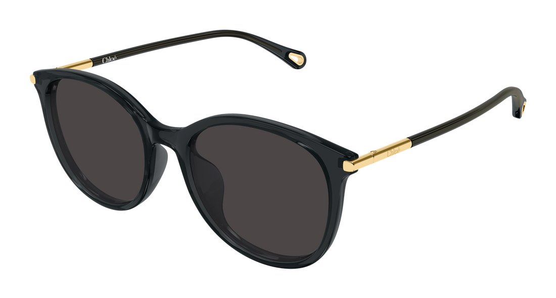 Óculos de sol chloé ch0397sk 001 gris round/oval/panthos femenino tamanho 56mm - Vista principal
