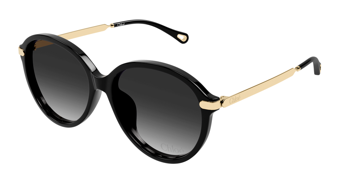 Occhiali da sole chloé ch0358sk 001 negro round/oval/panthos femenino taglia 59mm - Vista principale