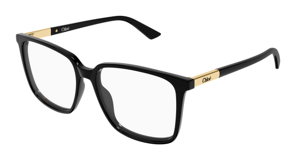 CHLOÉ CH0369O 001 55