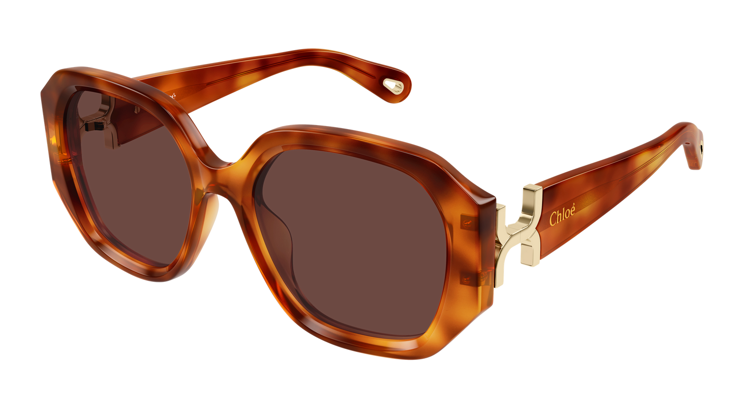 CHLOÉ CH0236S 006 56
