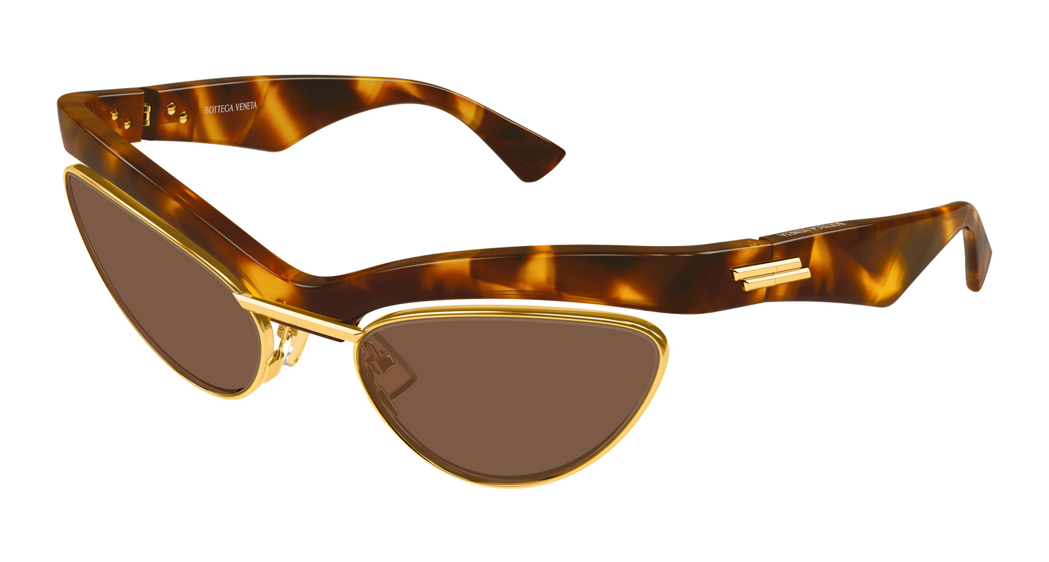 Bottega Veneta BV1480S 004 59