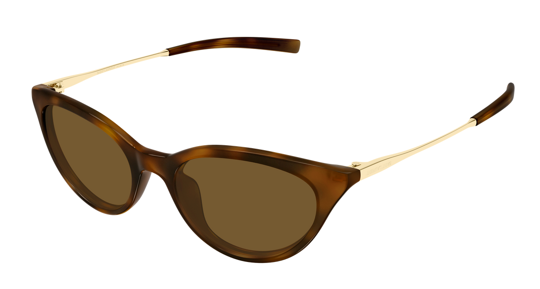 Occhiali da sole saint laurent sl 932 003 havana cat eye femenino taglia 53mm - Vista principale
