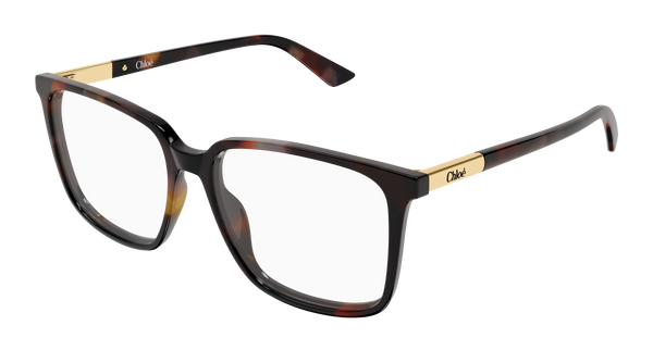 CHLOÉ CH0369O 003 55