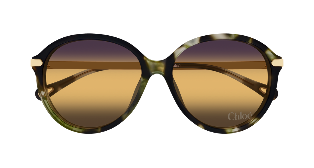 Óculos de sol chloé ch0358sk 003 havana round/oval/panthos femenino tamanho 59mm - Vista de detalhe