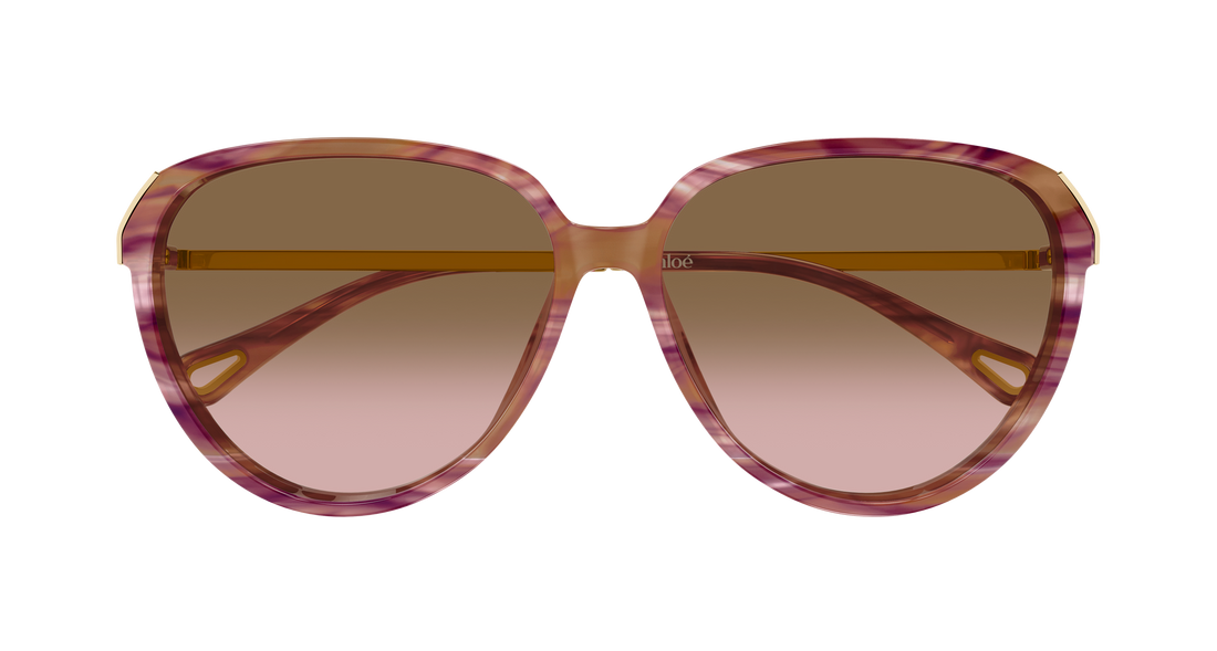 Óculos de sol chloé ch0406s 002 havana round/oval/panthos femenino tamanho 59mm - Vista de detalhe