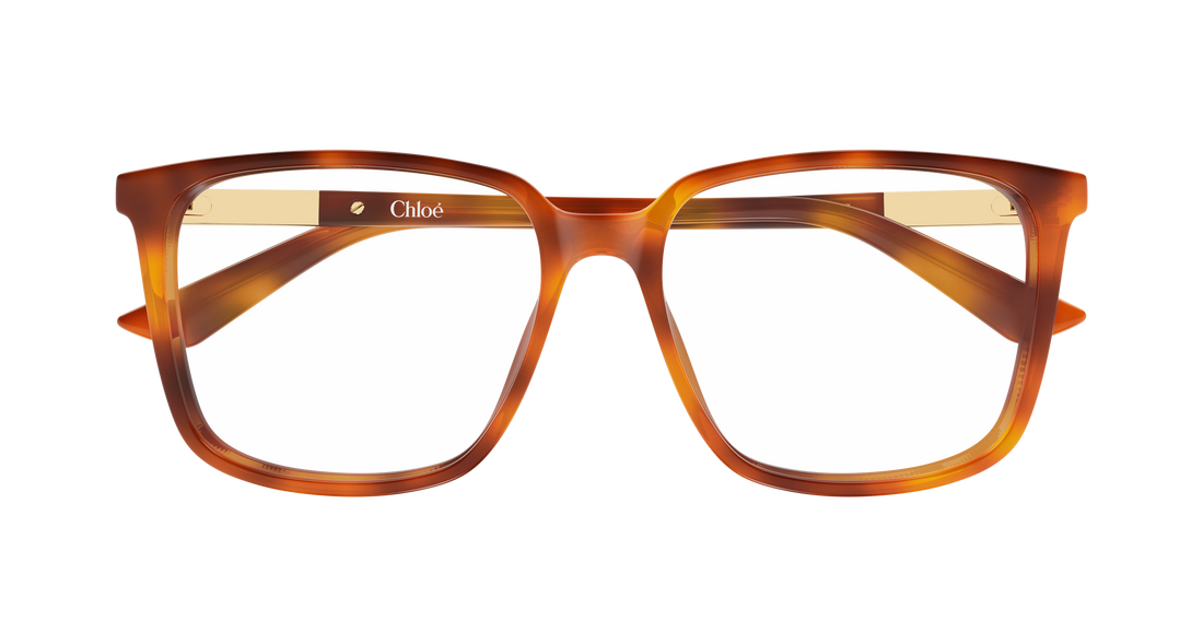 Lunettes de vue chloé ch0369o 002 havana rectangular / squared femenino taille 55mm - Vue détaillée