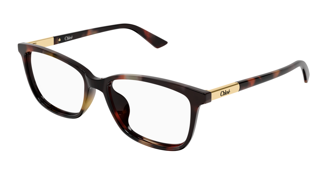 Lunettes de vue chloé ch0371oa 002 havana butterfly femenino taille 55mm - Vue principale
