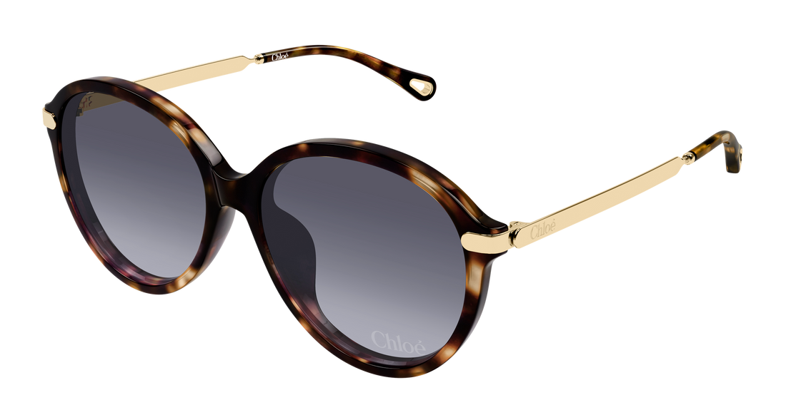 Óculos de sol chloé ch0358sk 002 havana round/oval/panthos femenino tamanho 59mm - Vista principal