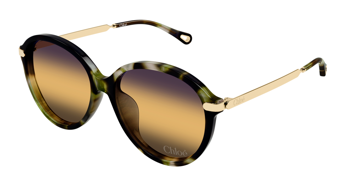 Óculos de sol chloé ch0358sk 003 havana round/oval/panthos femenino tamanho 59mm - Vista principal