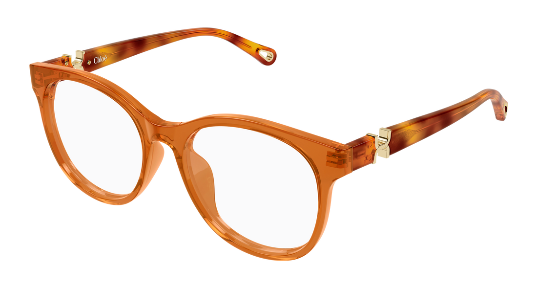 Brillen chloé ch0375o 004 marron round/oval/panthos femenino maat 54mm - Hoofdaanzicht