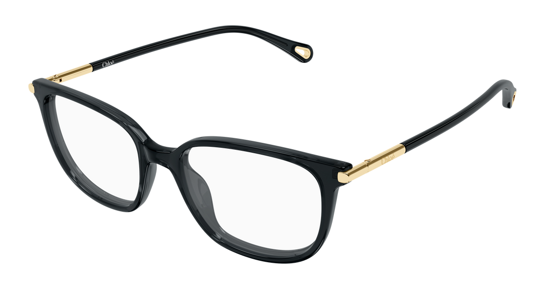 Óculos graduados chloé ch0400o 001 gris cat eye femenino tamanho 53mm - Vista principal