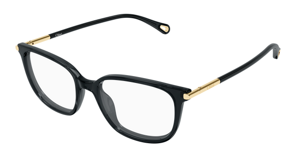 CHLOÉ CH0400O 001 53