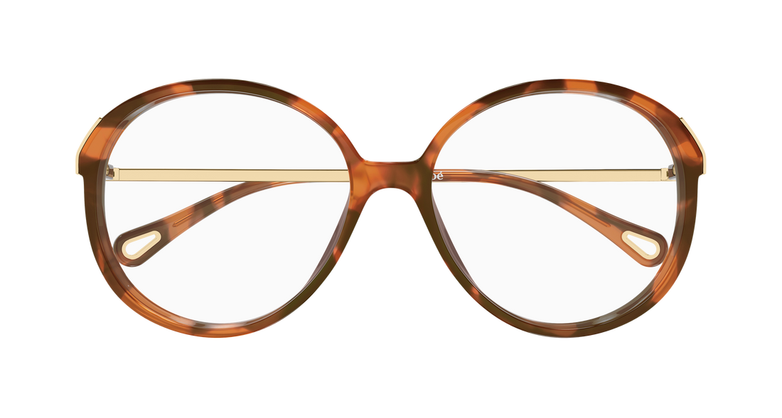 Briller chloé ch0408o 002 havana round/oval/panthos femenino størrelse 58mm - Detaljeret visning
