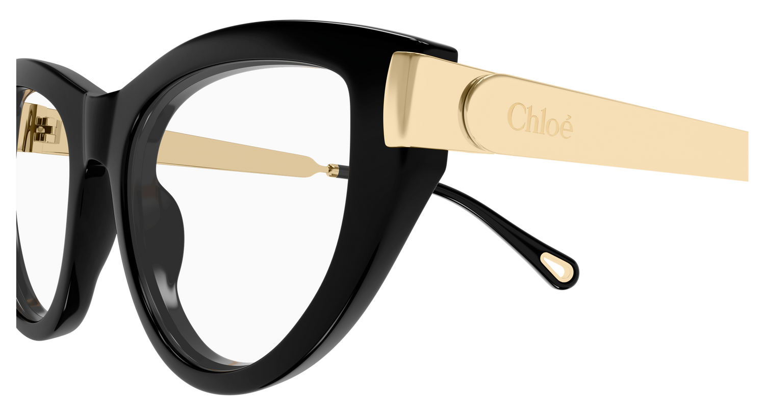 CHLOÉ CH0352O 001 53