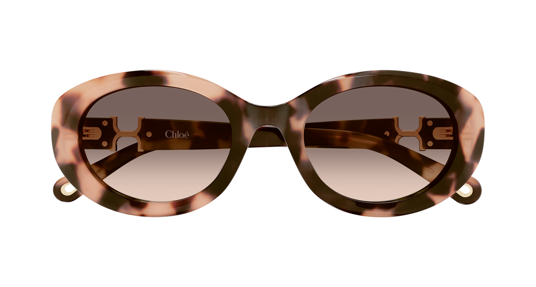 Óculos de sol chloé ch0323sk 006 havana round/oval/panthos femenino tamanho 54mm - Vista de detalhe