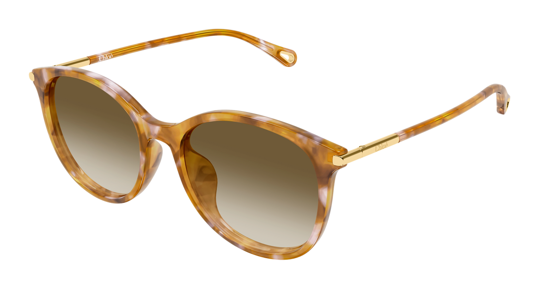Óculos de sol chloé ch0397sk 003 havana round/oval/panthos femenino tamanho 56mm - Vista principal