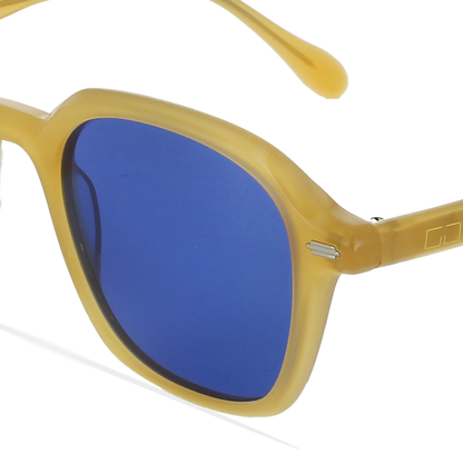 GREYHOUNDERS ANN HONEY 50