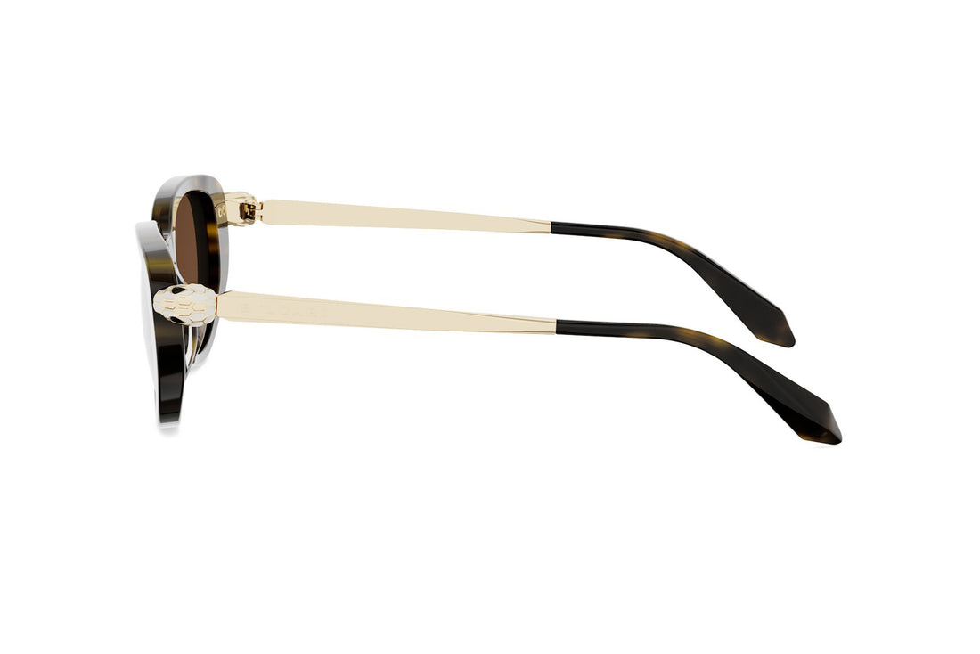 Sonnenbrillen bvlgari serpenti forever bv40067i 52e havana oval femenino größe 50mm - Detailansicht
