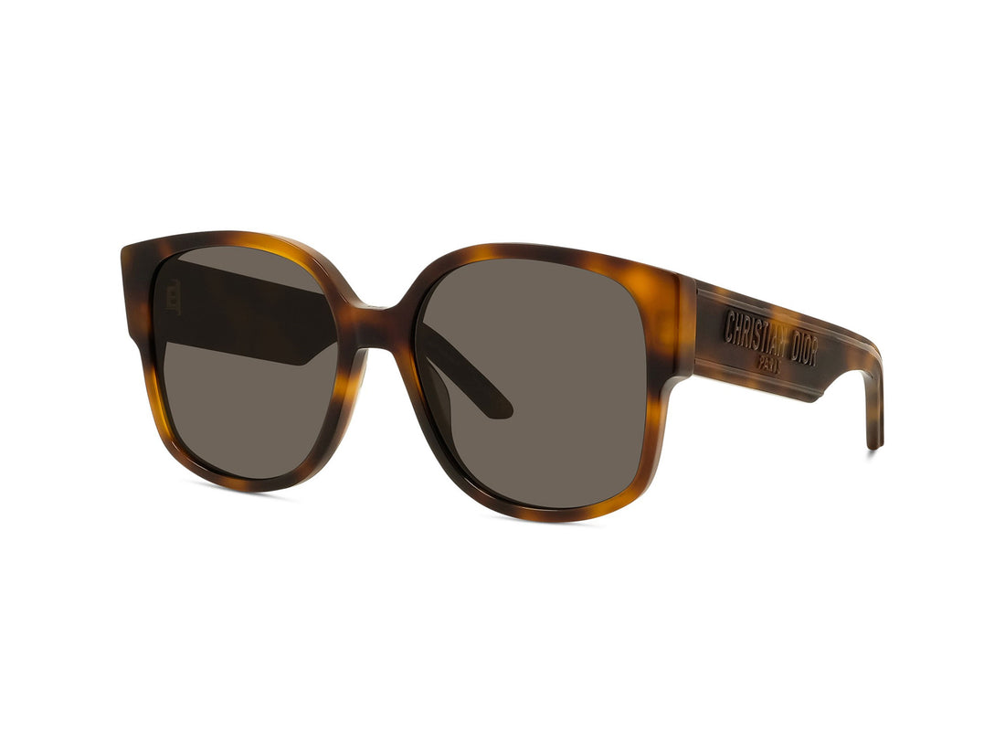 Zonnebrillen wildior su 26a0 havana geometric femenino maat 58mm - Hoofdaanzicht