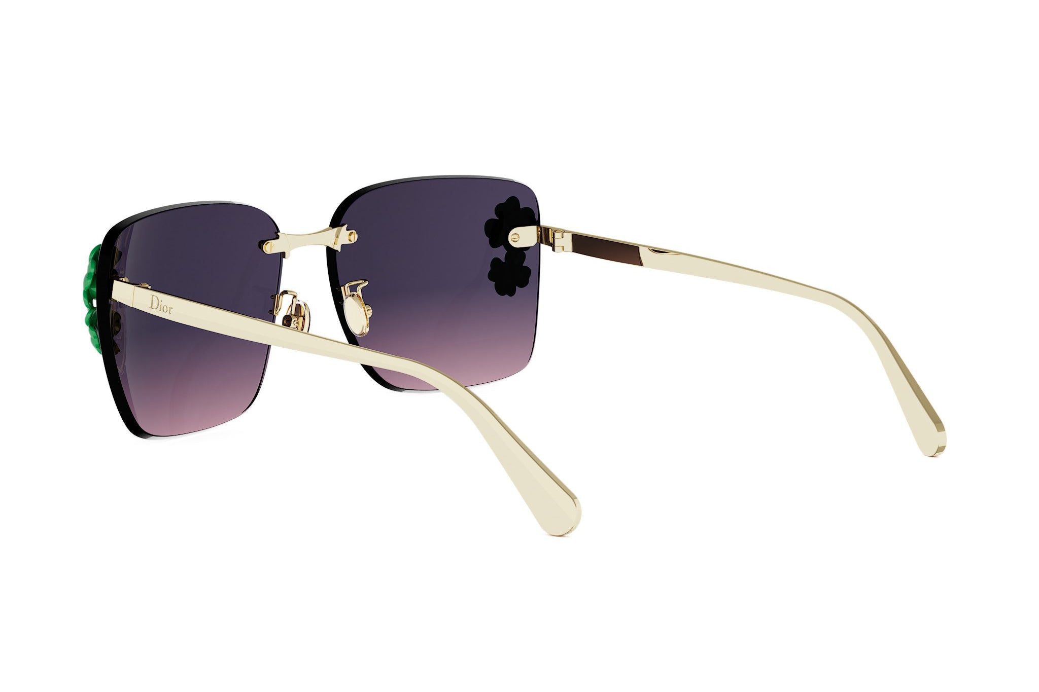 DIOR CLOVER S2U B0G2 62