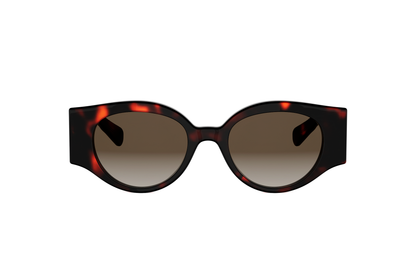 CELINE TRIOMPHE STAMP CL40341U 52F 50