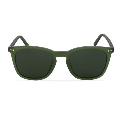 GREYHOUNDERS CENIT GREEN 50