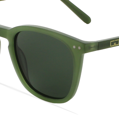 GREYHOUNDERS CENIT GREEN 50