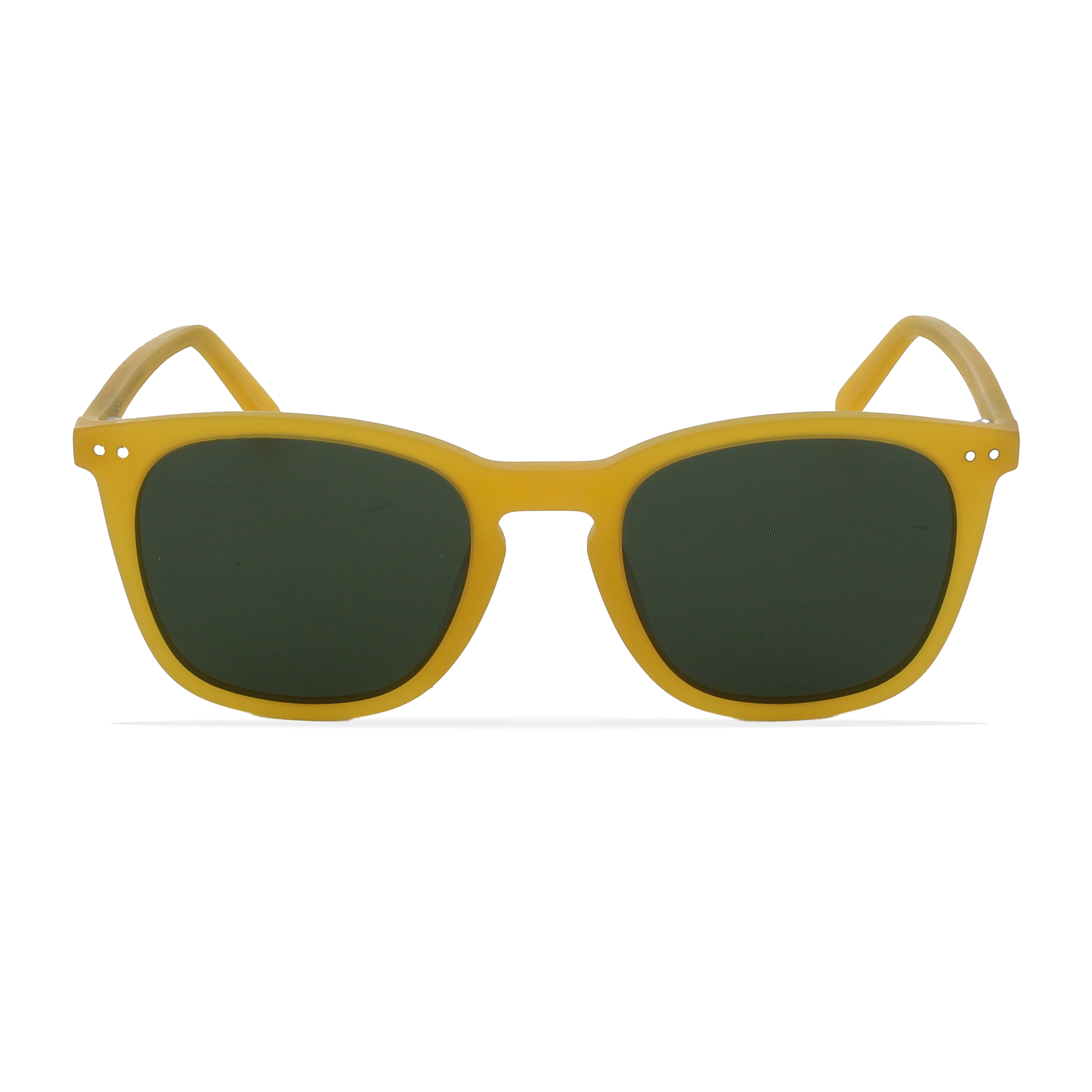 GREYHOUNDERS CENIT YELLOW 50