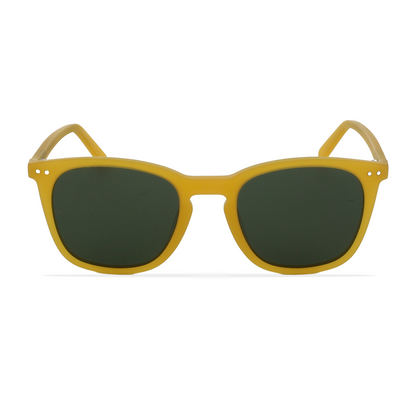 GREYHOUNDERS CENIT YELLOW 50