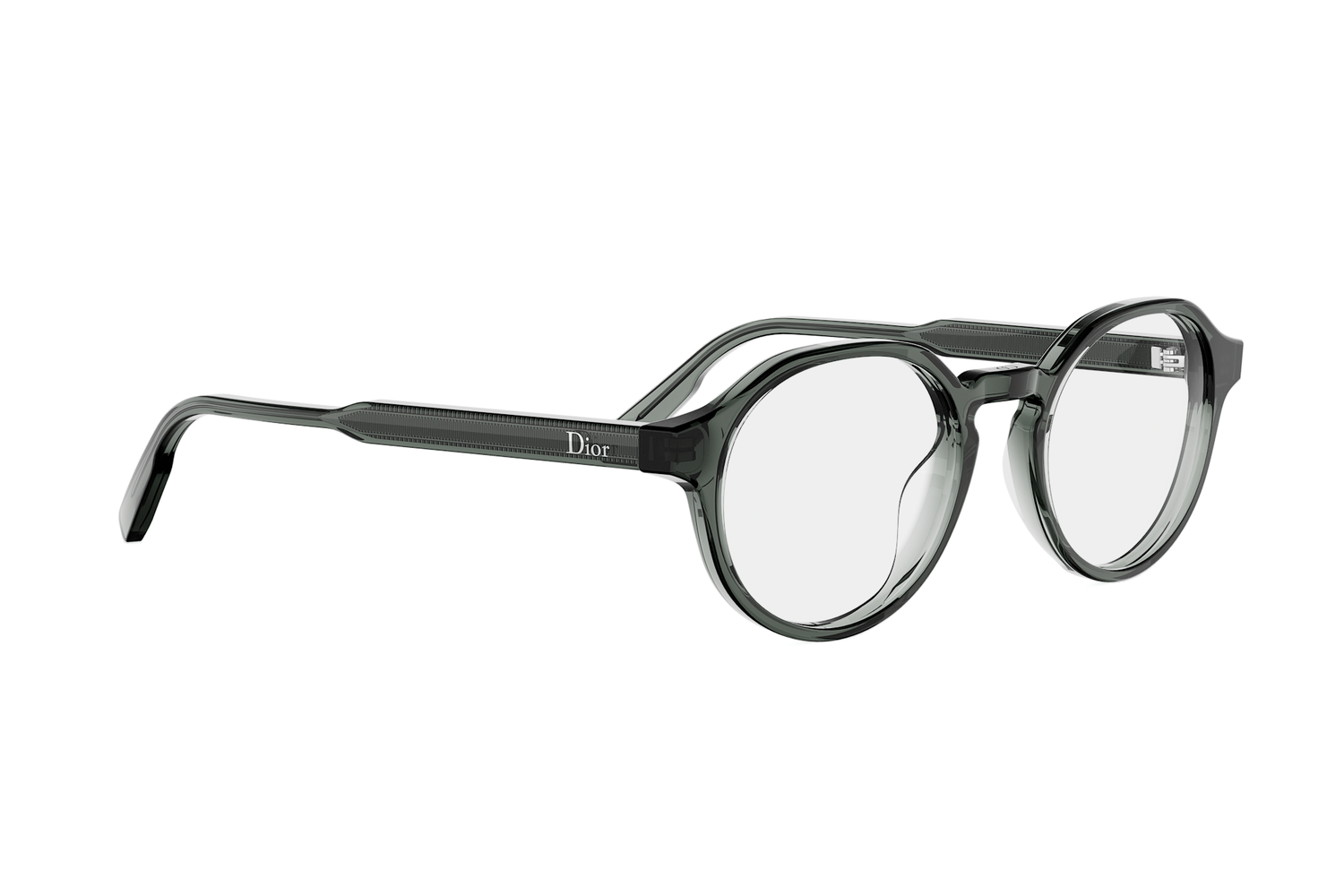 DIORIBBONO R1I 4500 49