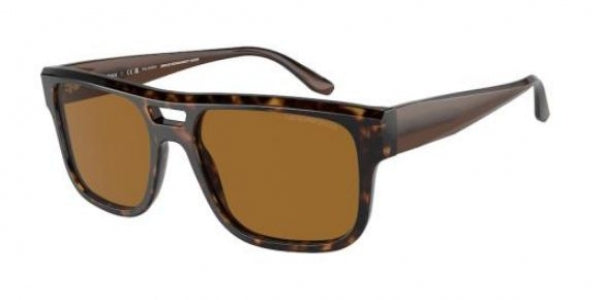 EMPORIO ARMANI EA4197 587983 57