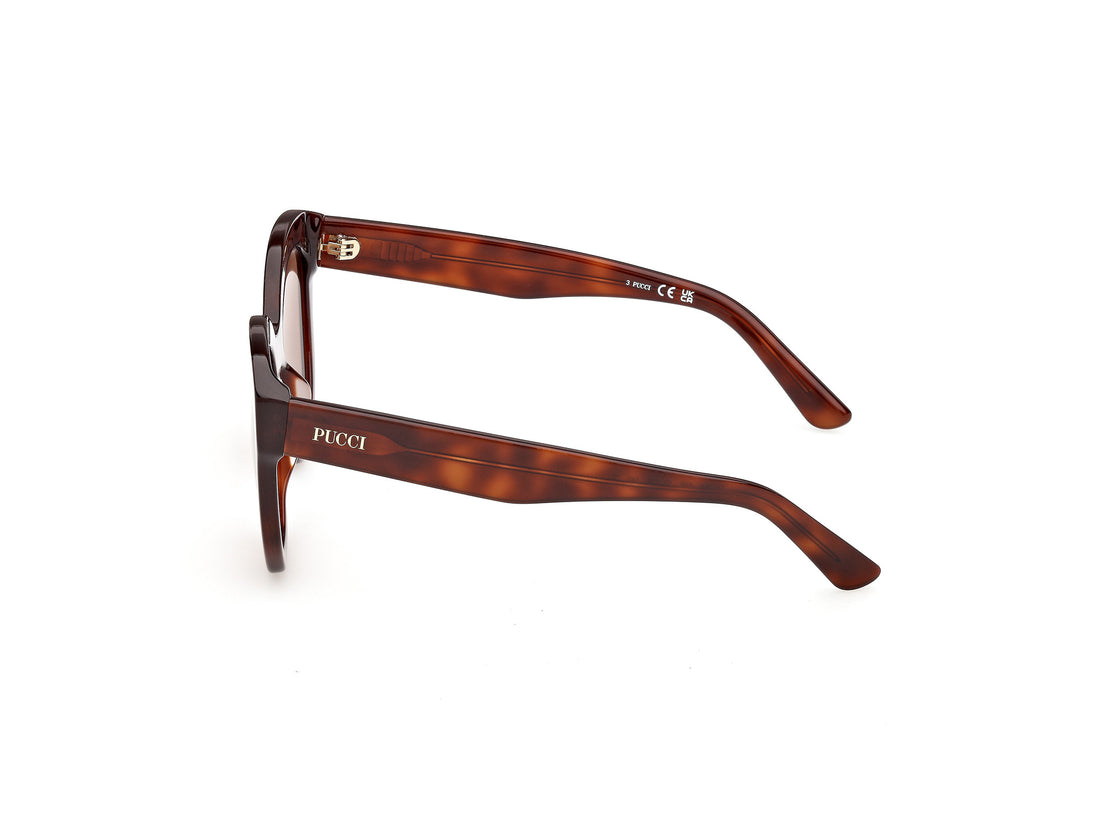 Occhiali da sole emilio pucci ep0254 53e havana geometric femenino taglia 53mm - Vista dettagliata