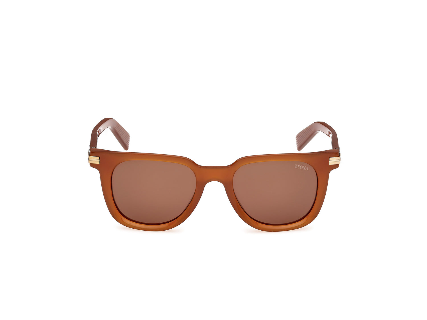 ERMENEGILDO ZEGNA EZ0248 45E 50