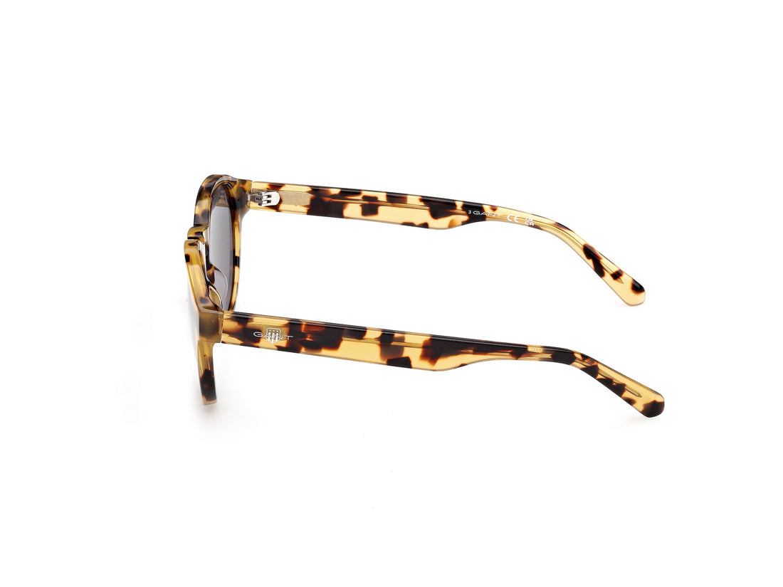 Gafas de sol gant ga00030 53n havana round masculino talla 53mm - Vista de detalle