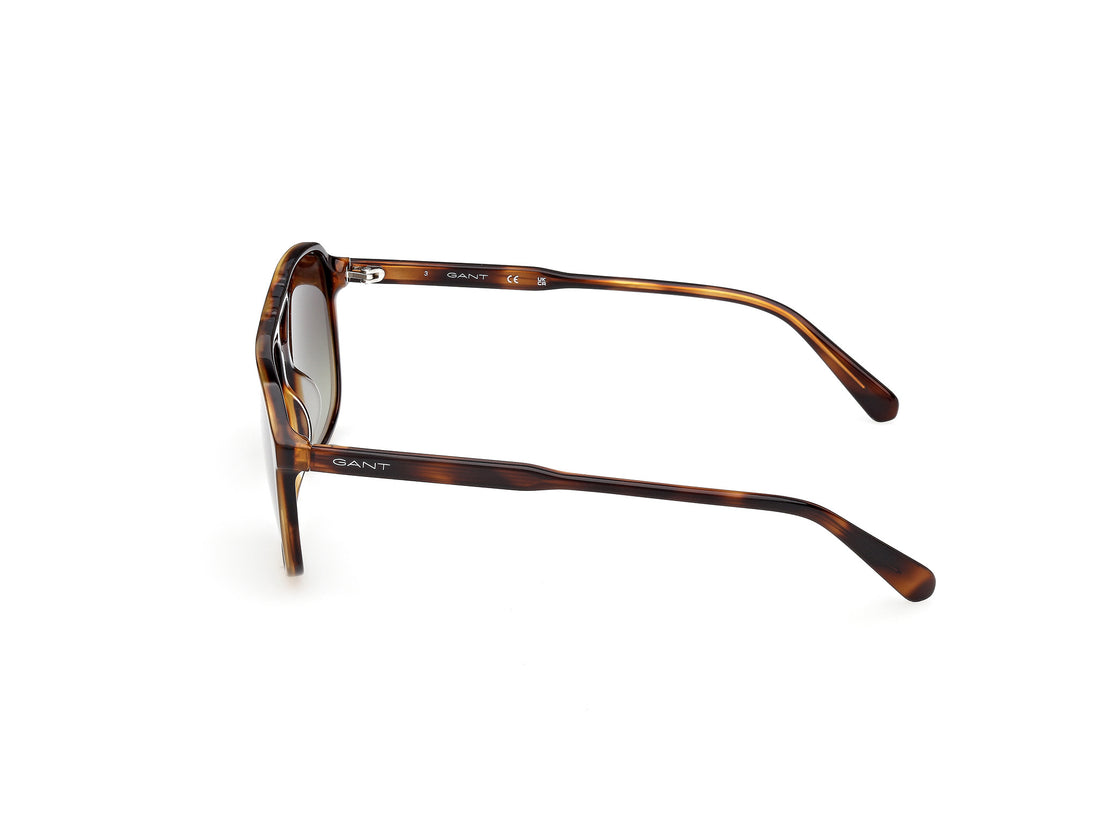 Gafas de sol gant ga00032 52p havana navigator masculino talla 57mm - Vista de detalle